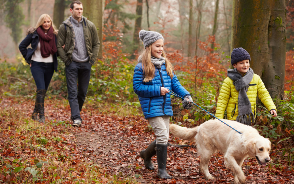Family Walking